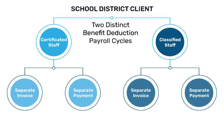 Soluta Success Story - School District Diagram