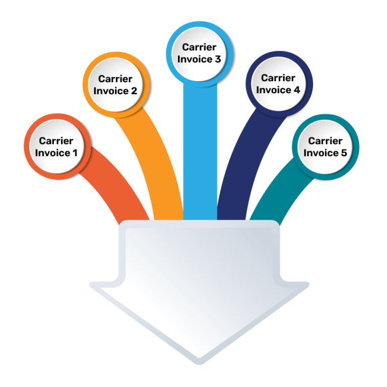 Multiple Carrier Invoices Case Study Graphic